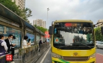 海口首批公交线路日均运送乘客23.56万人次，整体客流呈持续上升态势 - 海南新闻中心