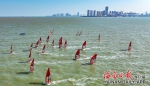 海口西海岸：帆影点点 亲水运动受青睐 - 中新网海南频道