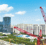 全国最大动臂式塔吊助力海南在建第一高楼建设 - 中新网海南频道