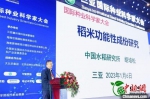 1月6日第二届三亚国际种业科学家大会开幕式上，中国工程院院士、中国水稻研究所所长胡培松作主旨演讲。　主办方供图 - 中新网海南频道