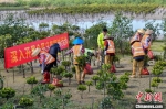 海南东寨港（三江湾）生态修复项目开工 - 中新网海南频道