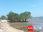 环岛旅游公路琼海段今年打造“青葛龙湾”“鱼跃潭门”2个驿站 - 海南新闻中心