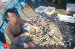 涉案渔获物1200余斤，抓获10人！琼海海警查获两起非法捕捞水产品案件 - 海南新闻中心