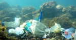 PADI联合精工中国在三亚开展打击海洋垃圾及净化海岸线公益活动 - 海南新闻中心