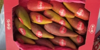 线上促销+线下体验！三亚新推出的这3种网红芒果受青睐 - 海南新闻中心