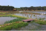 临高多福村：生态清洁小流域打造秀美农家田园 - 海南新闻中心