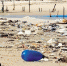 文昌木兰湾海滩现大量垃圾 呼吁：别让沙滩“受伤” - 中新网海南频道
