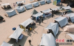 首届极光三亚露营节在大东海景区向公众免票开放 - 中新网海南频道