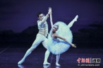 经典芭蕾舞剧《天鹅湖》在海南省歌舞剧院上演 - 中新网海南频道