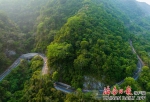 鹦哥岭上雨林公路景色美 - 中新网海南频道