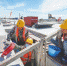 东方八所中心渔港升级改造：公益性部分基本完工 - 中新网海南频道