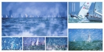 “发现海口之美”摄影大赛拟获奖作品公布 - 中新网海南频道