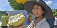 三亚“树上熟”榴莲首次面向公众 香甜鲜果获点赞 - 中新网海南频道