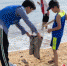 美兰区开展守护海岸线沙滩清洁活动 - 中新网海南频道