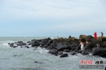 儋州峨蔓火山海岸蔚为壮观 - 中新网海南频道