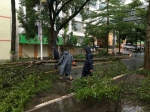 全省住建系统防台风“莎莉嘉”最新动态 - 住房和城乡建设厅