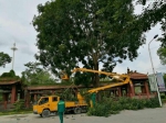 全省住建系统防台风“莎莉嘉”最新动态 - 住房和城乡建设厅