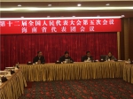 海南代表团举行第一次全体会议 - 人民代表大会常务委员会