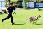 范华平到省公安厅刑警总队警犬基地调研 - 公安厅