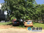 好好的绿地被4S店占用卖车 海口占用绿地乱象怎么破？ - 海南新闻中心