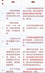 警惕！澄迈6名工人因食用野生蘑菇中毒 其中1人死亡 - 海南新闻中心