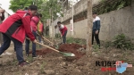 种一棵小树 净一方绿土 海南太古可口可乐携手志愿者在海口儒传村开展植树活动 - 海南新闻中心