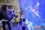 “海洋之眼”水族箱亮相三亚机场 - 中新网海南频道