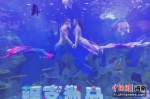 “海洋之眼”水族箱亮相三亚机场 - 中新网海南频道