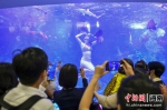 “海洋之眼”水族箱亮相三亚机场 - 中新网海南频道