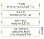 保亭:扩种特色品种 推广新品种 有效促增收 - 中新网海南频道