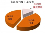 今年汛期或多达10个热带气旋影响海南 - 中新网海南频道