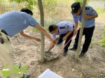 蛇出没！儋州这2个村里惊现“陌生客”…家禽偶尔会“失踪”！ - 海南新闻中心