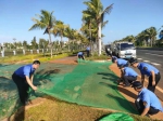 海口美兰区持续做好国庆假期旅游市场服务保障工作 - 海南新闻中心