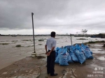 海口美兰区新埠街道组织清理南渡江沿岸水浮莲 - 海南新闻中心