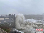 13日，海口海甸岛碧海大道海域周围海浪翻滚。　符宇群 摄 - 中新网海南频道