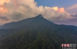 2021年9月3日，航拍海南五指山自然保护区热带雨林。骆云飞摄 - 中新网海南频道