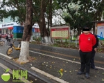 驾驶电动车“踩点”，伺机作案！海口海岸警察抓获一男子，破盗窃案件4起 - 海南新闻中心