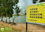 “巢毁蛋碎，幼鸟被埋……”海口一湿地保护区惨遭“黑手”，三部门回应 - 海南新闻中心