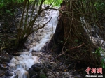 探访海南东方俄贤岭：喀斯特地貌热带雨林 - 中新网海南频道