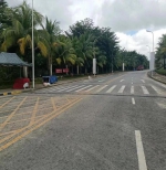 关于寻找万宁市礼纪镇莲心路芭蕾雨小区大门口左边早市一名卖香蕉男子的通告 - 海南新闻中心